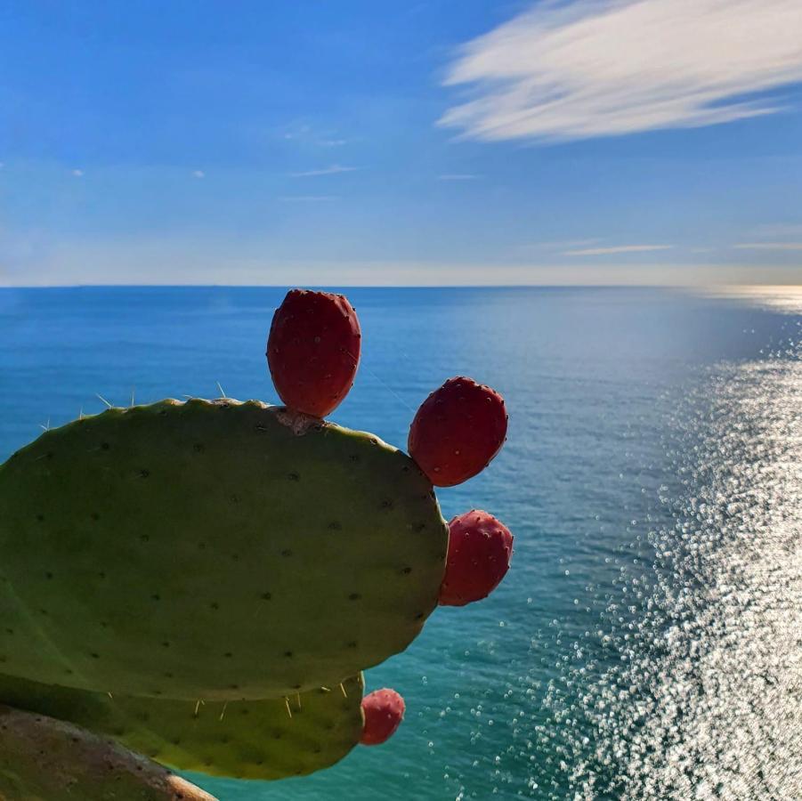 Appartement La Terrazza Sul Blu à Corniglia Extérieur photo