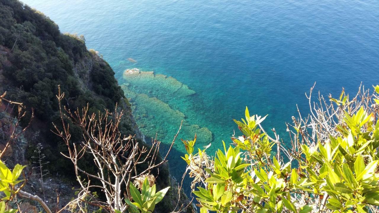 Appartement La Terrazza Sul Blu à Corniglia Extérieur photo