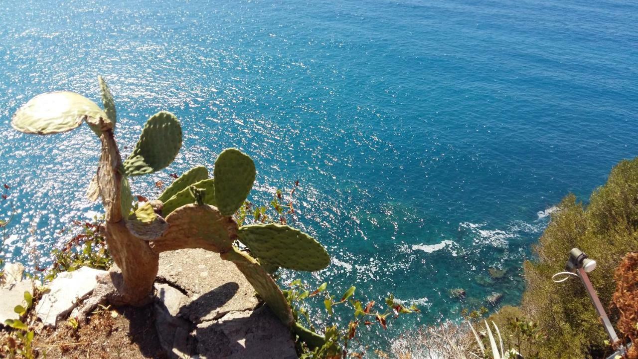 Appartement La Terrazza Sul Blu à Corniglia Extérieur photo